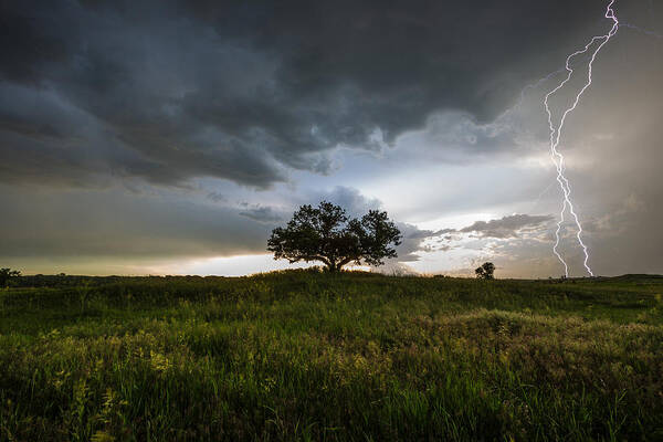 #aaron J. Groen #beautiful #bolt #burial Mounds #close #cloud #clouds #dangerous #eminija #grass #historical #homegroen Photography #lightning #lone Tree #native American Burial Mounds #rain #sacred #sky #south Dakota #split Rock Creek Poster featuring the photograph Wakinyan by Aaron J Groen