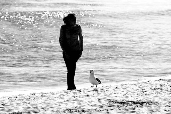 Birds Poster featuring the photograph Walkin My Birdy Back Home by Ellen Lerner ODonnell