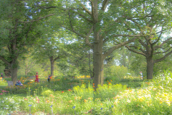 Walking Thru The Park. In The Park Poster featuring the photograph Walking thru the Park by Kathy Paynter