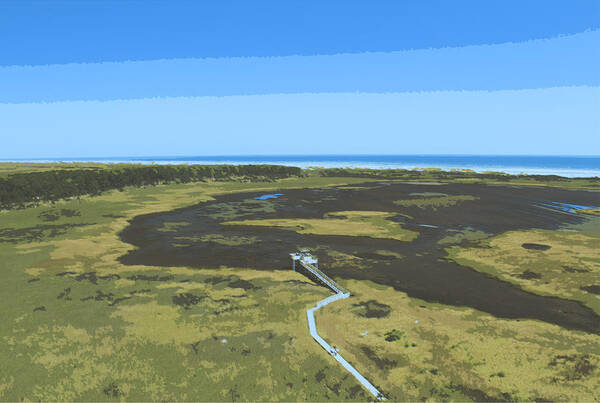 Bodie Island Poster featuring the drawing Walkway to Bodie Island Lighthouse by Darrell Foster
