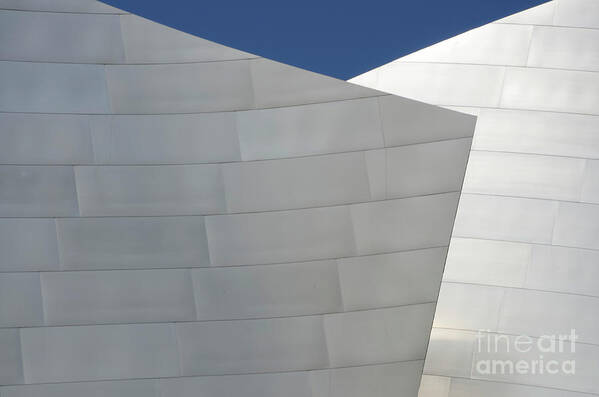 Frank Gehry Poster featuring the photograph Walt Disney Concert Hall 20 by Bob Christopher