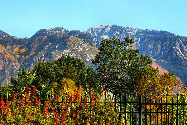 Wasatch Mountains Poster featuring the photograph Wasatch Mountains In Autumn by Tracie Schiebel