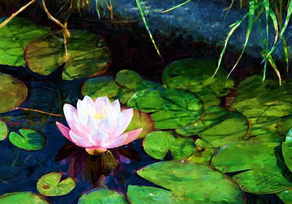 Water Lily Poster featuring the digital art Water lily flower in pond by Debra Baldwin