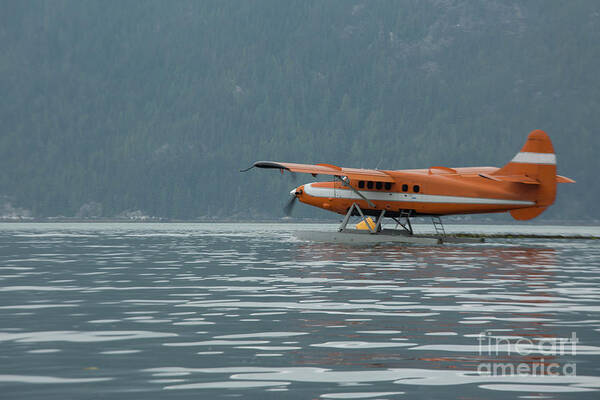 Plane Poster featuring the photograph Water plane by Patricia Hofmeester