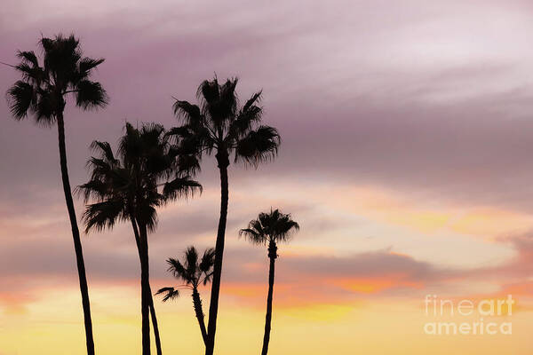 Palm Trees Poster featuring the photograph Watercolor Sky by Ana V Ramirez