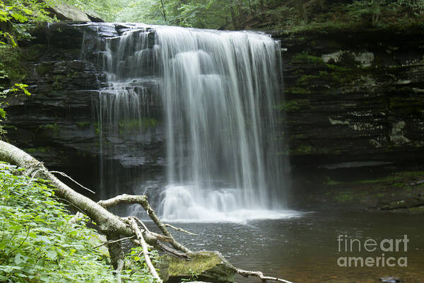 Waterfall Poster featuring the photograph Waterfalls by Karen Foley