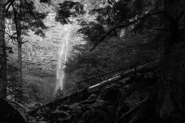 Waterfall Poster featuring the photograph Watson Falls, Oregon by Larry Goss