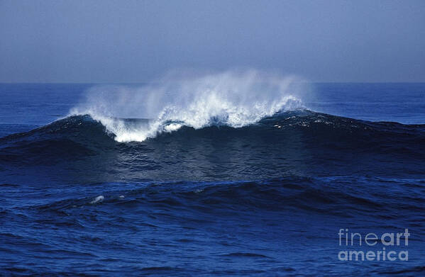 America Poster featuring the photograph Wave In Pacific Ocean, California by Gerard Lacz