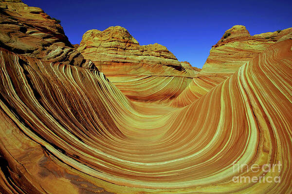 Arizona Poster featuring the photograph Wave by Roxie Crouch