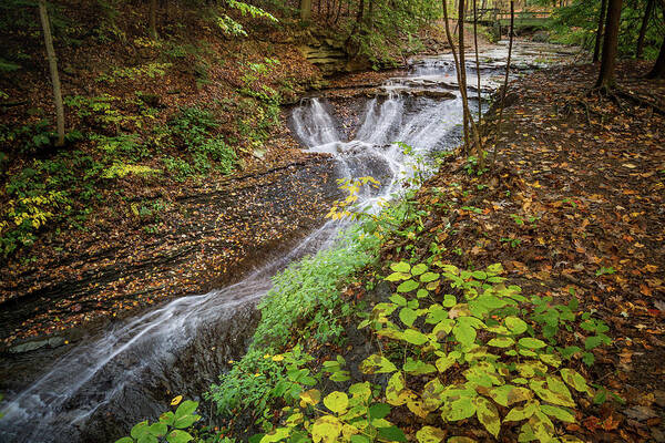 When The Leaves Fall Poster featuring the photograph When The Leaves Fall by Dale Kincaid