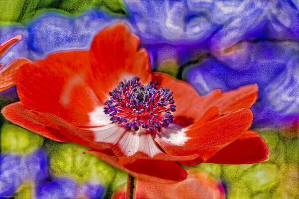 Poppy Poster featuring the digital art Whimsical by Ches Black