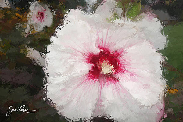 Original Painting Of White And Red Flower Poster featuring the painting White Flower by Joan Reese