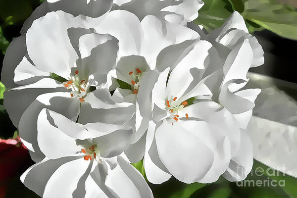White Poster featuring the mixed media White Geraniums by Charles Muhle