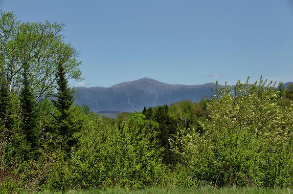 White Poster featuring the photograph White Mountain View by Donna Doherty