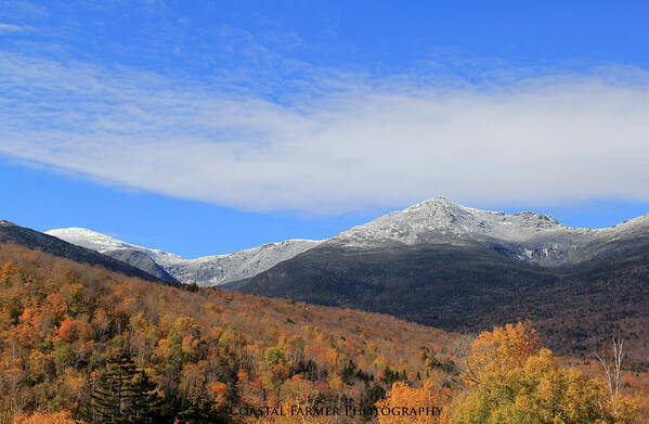 Nature Poster featuring the photograph White Mountains by Becca Wilcox