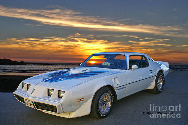 Cars Poster featuring the photograph White Pontiac Trans Am by Randy Harris