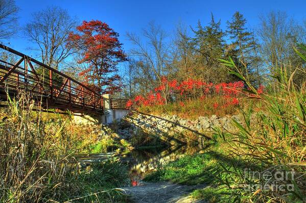 White Water State Park Poster featuring the photograph White Water State Park 2 by Jimmy Ostgard