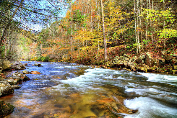 Fall Poster featuring the photograph Whitetop Creek Autumn by Dale R Carlson