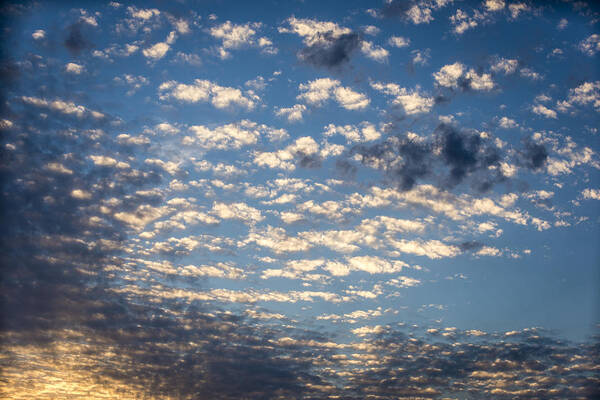 Blue Sky Poster featuring the photograph Wild Blue Sunset by Anthony Baatz