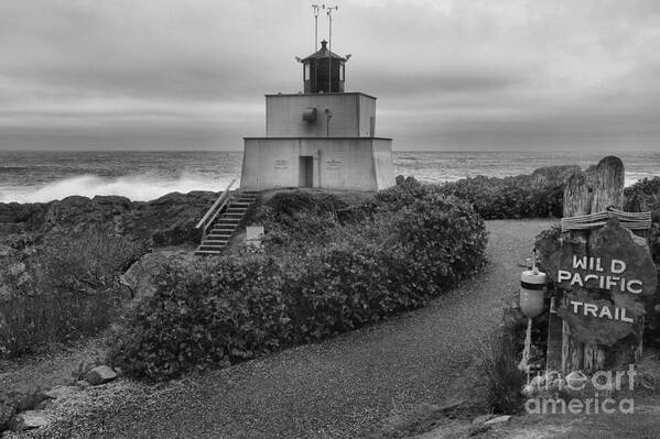 Black And White Poster featuring the photograph Wild Pacific Trail Black And White Lighthouse by Adam Jewell