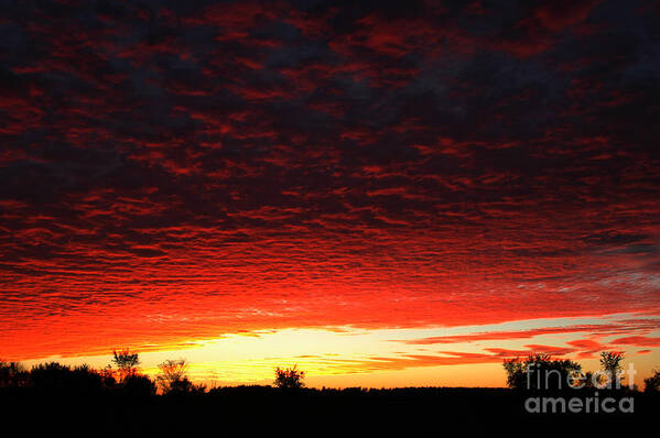 Red Sky Poster featuring the photograph Wild Sky 2 by Elaine Hunter