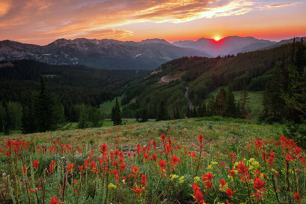 Summer Poster featuring the photograph Wildflowers at Guardsmans Pass by Wasatch Light