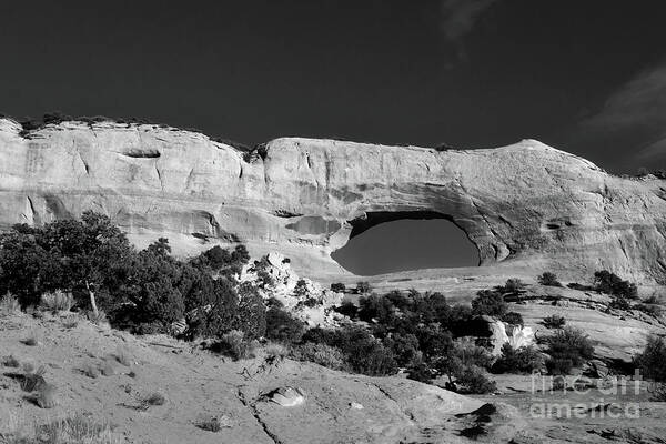 Landscape Poster featuring the photograph Wilson's Arch by Ana V Ramirez