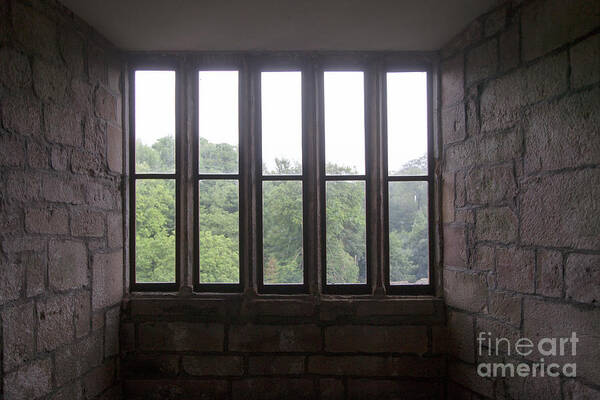 Dark Poster featuring the photograph Window by Kati Finell