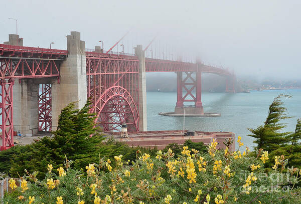 Wind Poster featuring the photograph Windy Foggy Golden Gate Bridge by Debby Pueschel