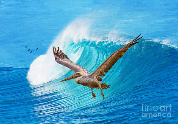 Pelican Poster featuring the photograph Wings and Waves by Laura D Young
