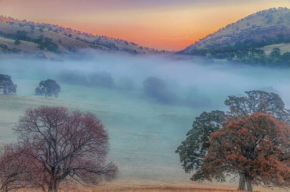 Landscape Poster featuring the photograph Winter Fog at Sunrise by Marc Crumpler