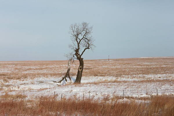 Winter Poster featuring the photograph Winter in Kansas by John Moyer