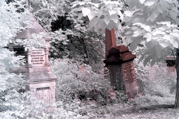 Tombs Poster featuring the photograph Winter infrared cemetery by Helga Novelli