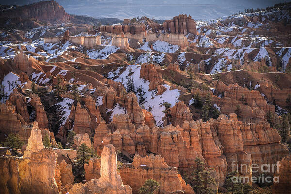 Bryce Canyon Poster featuring the photograph Winter is leaving Bryce by Jennifer Magallon