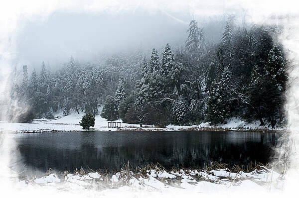 Doane Poster featuring the photograph Winter Lake by Hugh Smith