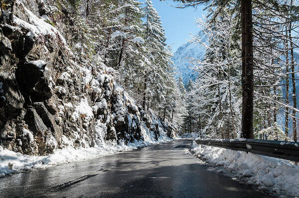 Landscape Poster featuring the photograph Winter road by Sergey Simanovsky