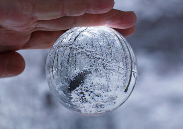 Photo Designs By Suzanne Stout Poster featuring the photograph Winter Snow Globe by Suzanne Stout