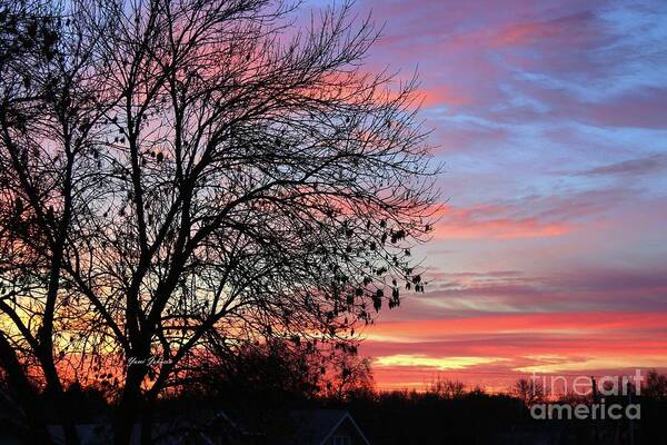 Winter Poster featuring the photograph Winter Sunrise by Yumi Johnson