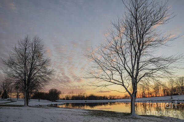 Winter Poster featuring the photograph Winter Sunset at East Lake by Tamara Becker