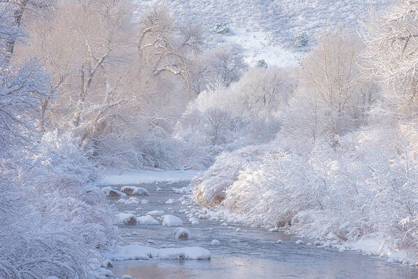 Winter Poster featuring the photograph Winter Wonderland - Colorado by Darren White