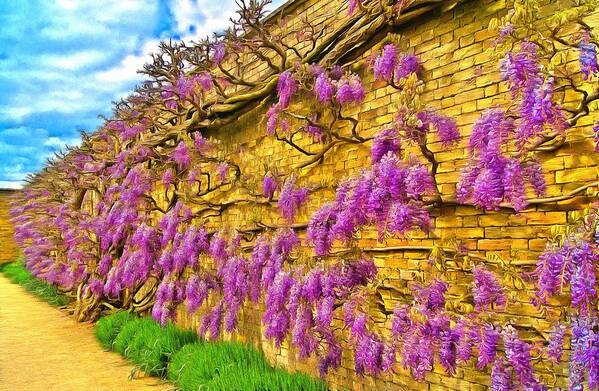Wisteria Poster featuring the photograph Wisteria by Scott Carruthers