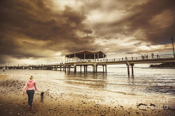 Canine Poster featuring the photograph Woman walking dog on stormy beach by Jorgo Photography