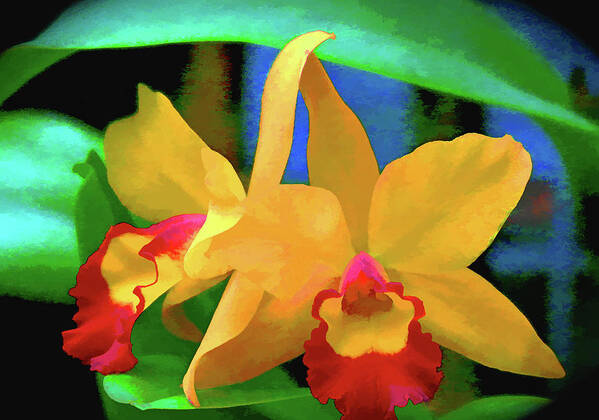 Bright Poster featuring the photograph Yellow Orchid by Rochelle Berman