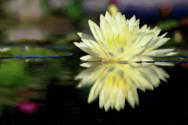 Waterlily Poster featuring the digital art Yellow Painted Waterlily by Carol Montoya