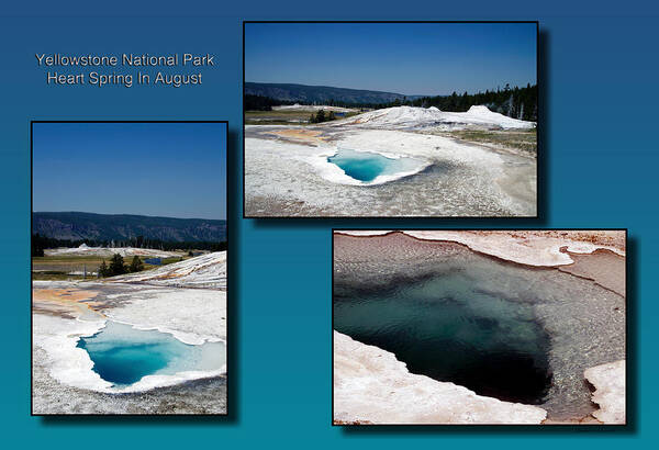 Yellowstone National Park Poster featuring the photograph Yellowstone Park Heart Spring In August Collage by Thomas Woolworth