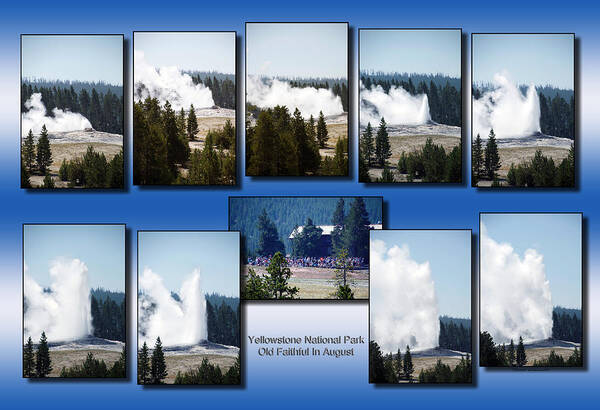 Old Faithful Poster featuring the photograph Yellowstone Park Old Faithful In August Vertical Collage by Thomas Woolworth