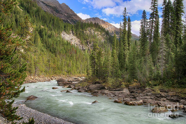 River Poster featuring the photograph Yoho River Bend by Teresa Zieba