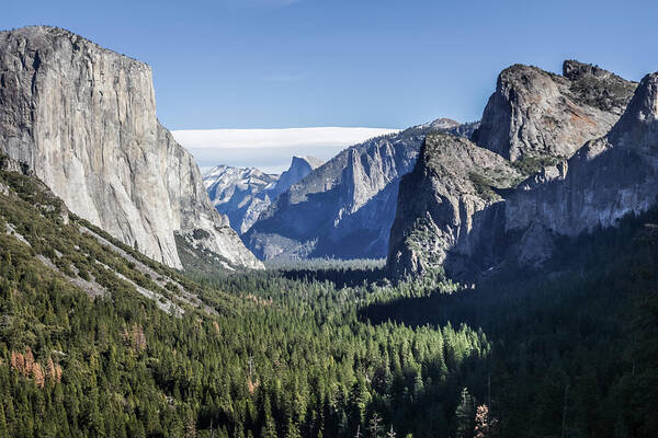 California Poster featuring the photograph Yosemite Tunnel View by Adam Rainoff