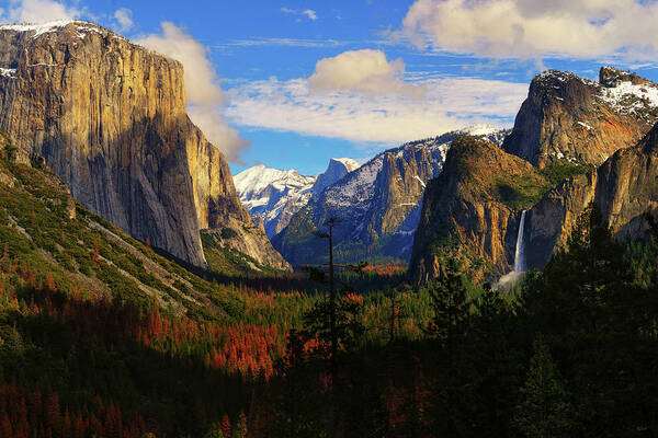 Yosemite Poster featuring the photograph Yosemite Valley by Greg Norrell
