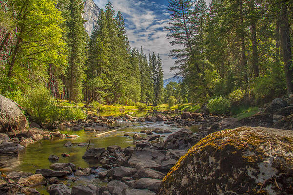 Yosemite Water Nature Blue Sky Clouds Mountains Moss Bolders Streams Trees Serentey All Prints Are Available In Canvas Prints Poster featuring the photograph Yosemites N Park by Brian Williamson